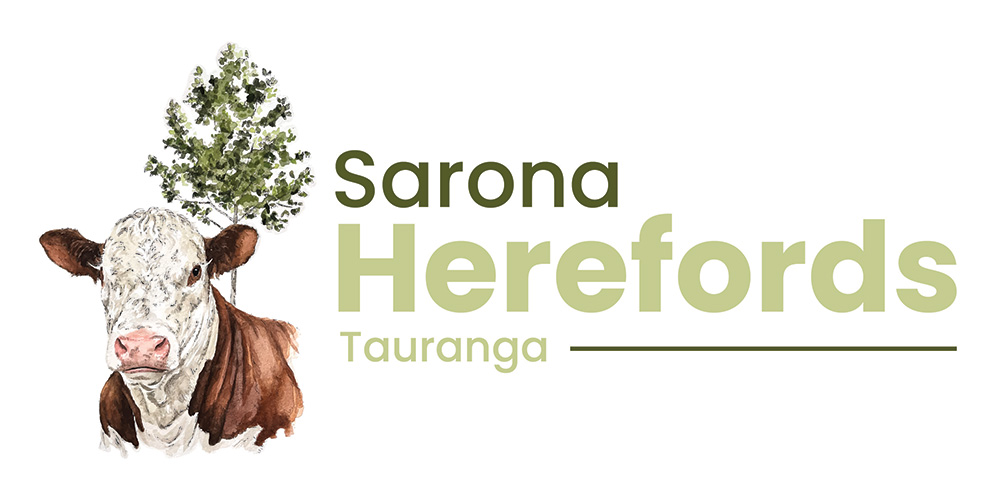 Sarona Herefords Logo.